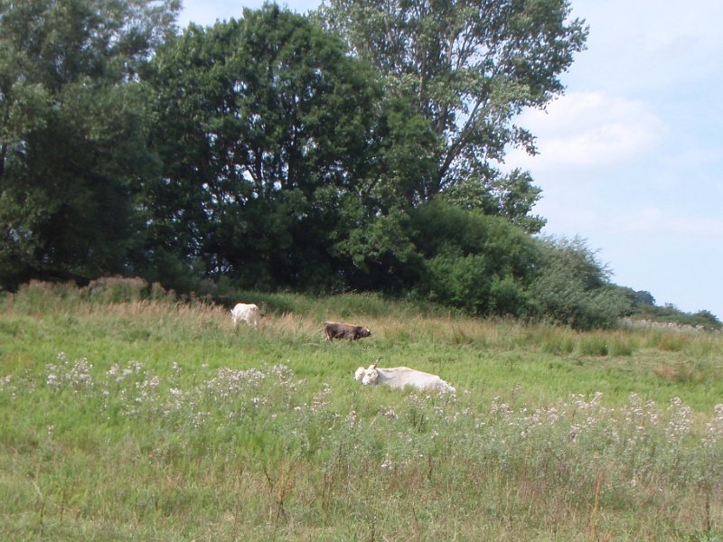 Radtour Ruegen 055